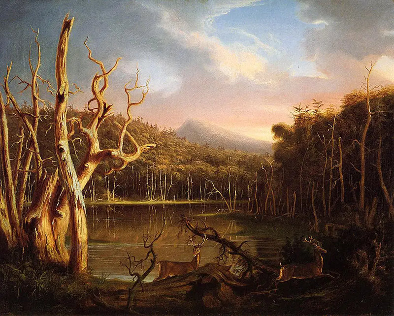 Lago dos Árvores Mortas - Thomas Cole
