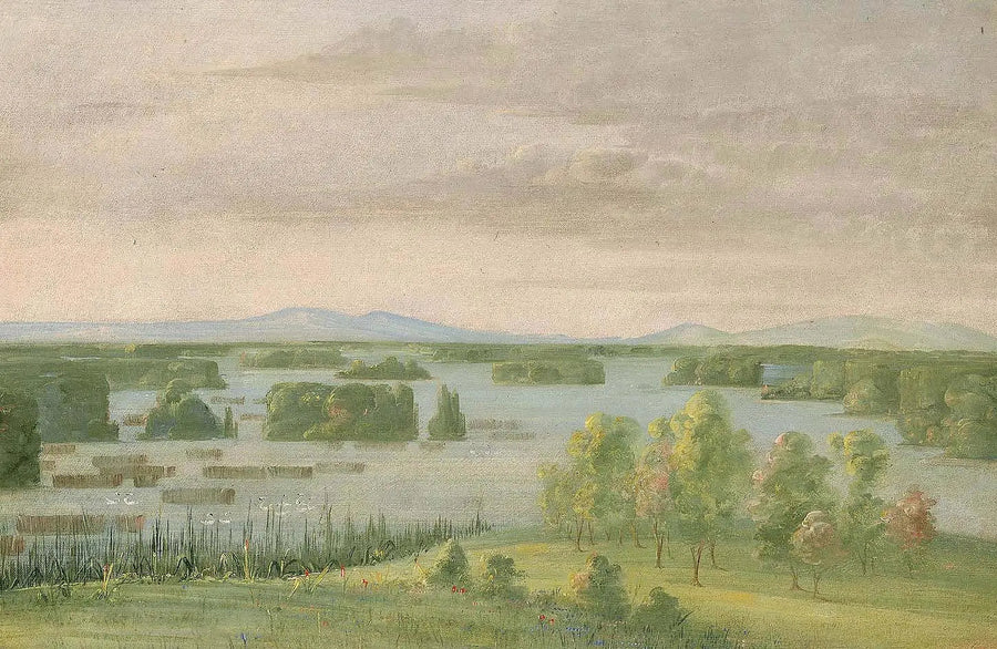 Lago do Cisne (Lago dos Cisnes), Perto do Coteau das Pradarias - George Catlin