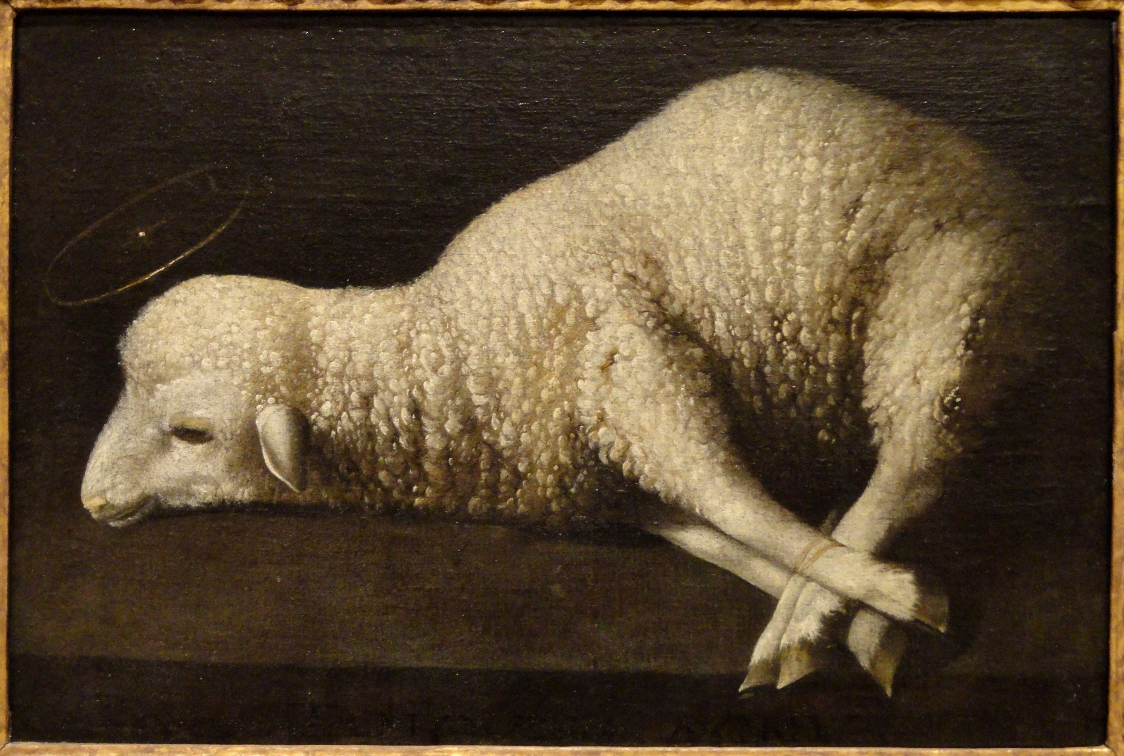 L’Agneau de Dieu - Francisco de Zurbarán - Alpha Reproduction