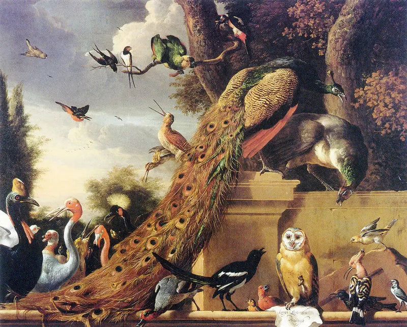 Langh deixou Den Koningh, ou o concerto dos pássaros - Melchior de Hondecoeter