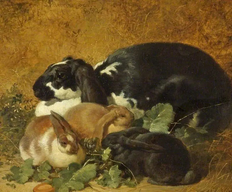 Coelhos - John Frederick Herring, Sr.