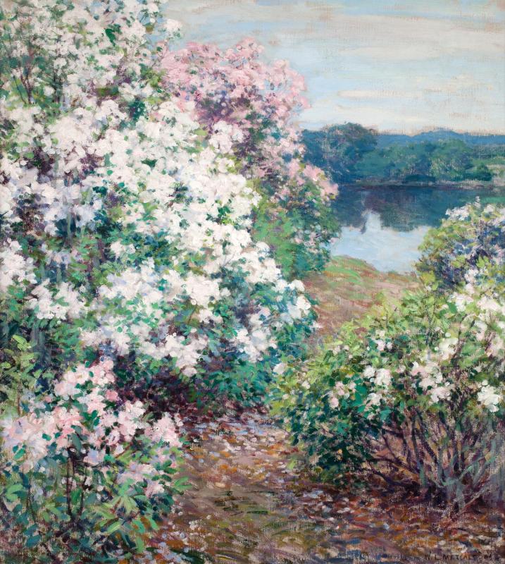 Laurier das Montanhas - Willard Metcalf