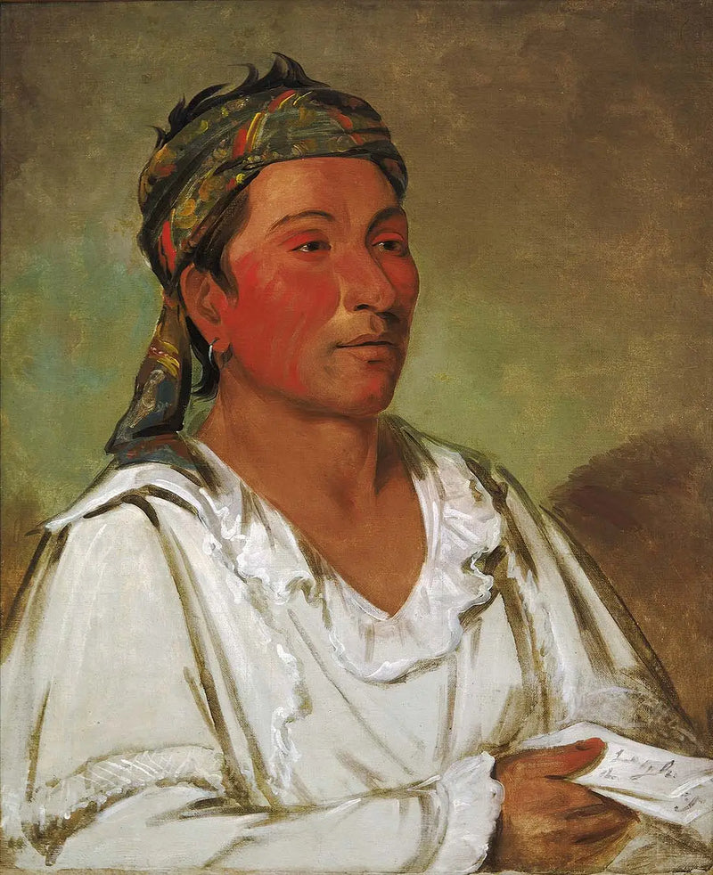 Lay-lóu-a-pi-ái-shee-kaw, erva, arbusto e flor, semi-civilizado - George Catlin