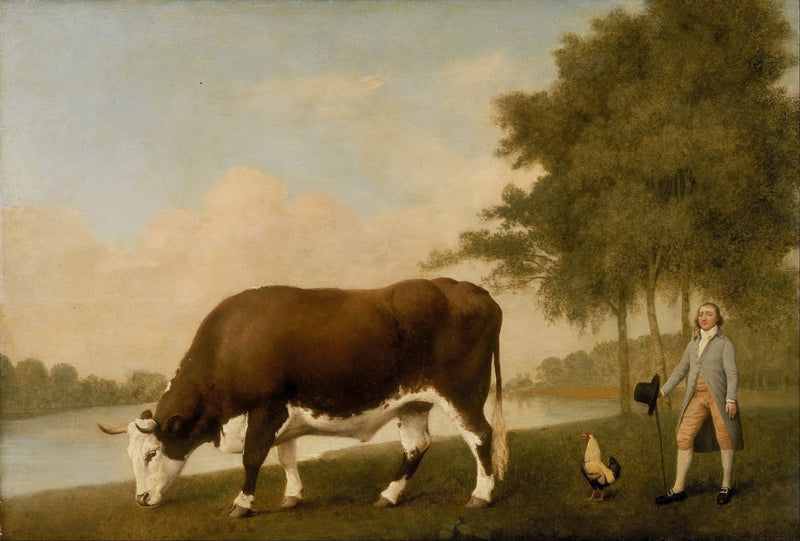 O boi de Lincolnshire - George Stubbs