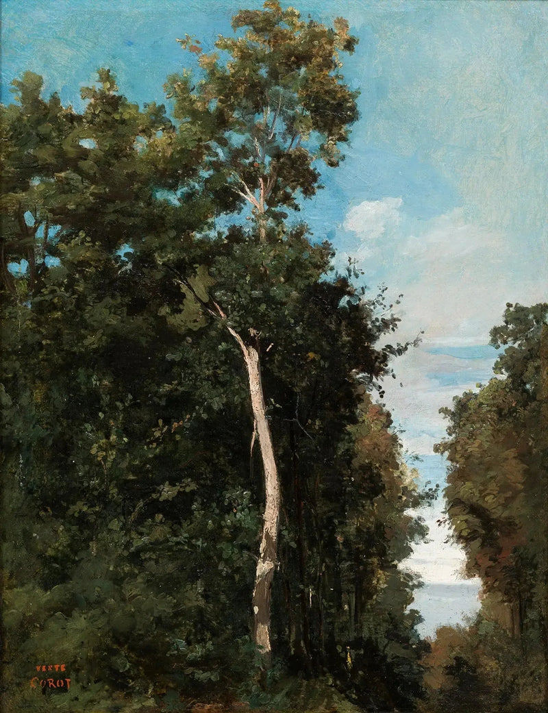 A Madeira na costa de Grâce em Honfleur - Jean-Baptiste Camille Corot