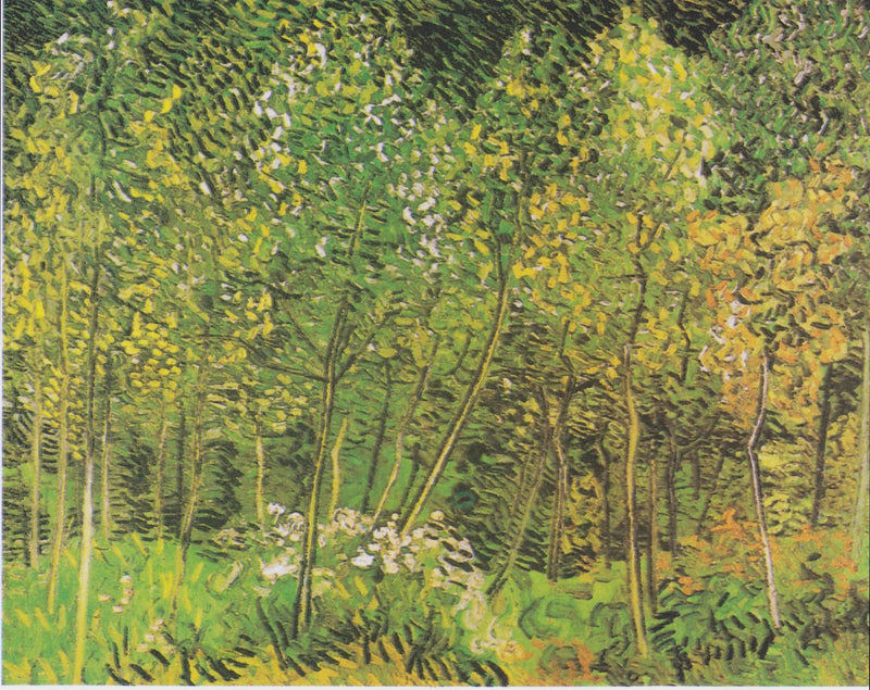 O Bosque - Vincent van Gogh