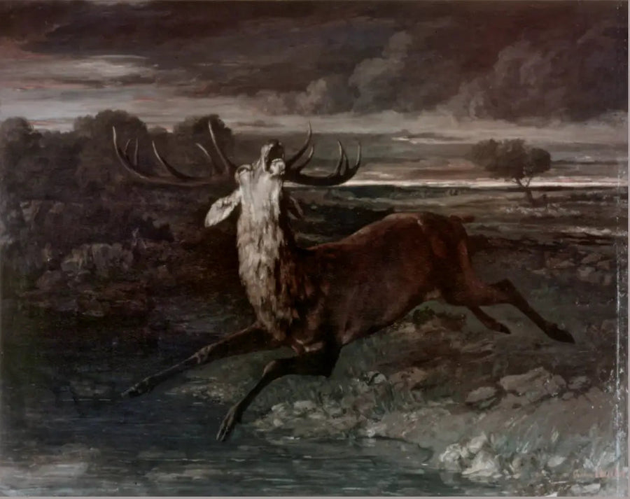 O Veado na Água - Gustave Courbet