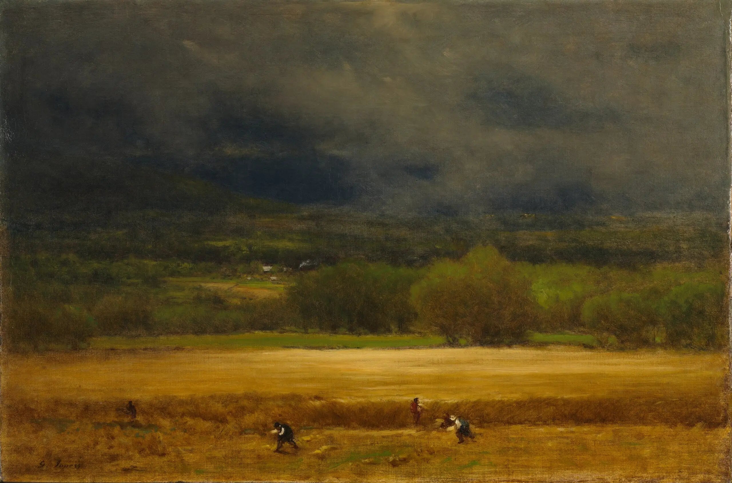 Le champ de blé - George Inness - Alpha Reproduction