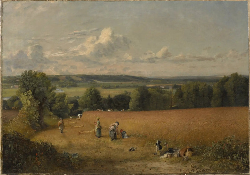 O campo de trigo - John Constable
