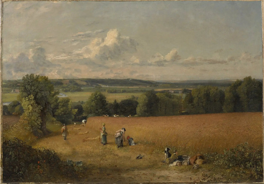 O campo de trigo - John Constable