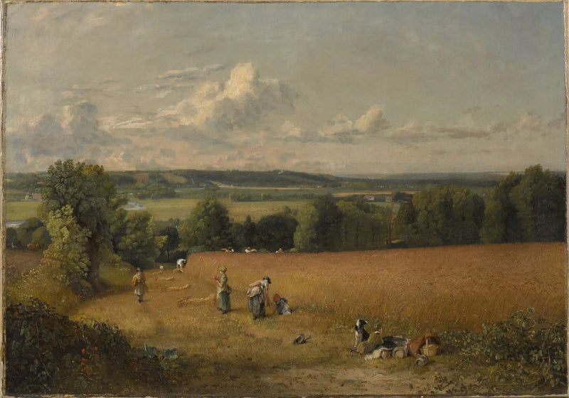 O campo de trigo - John Constable
