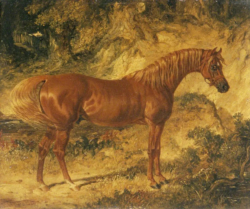 O cavalo de corrida « Actéon » - John Frederick Herring, Sr.