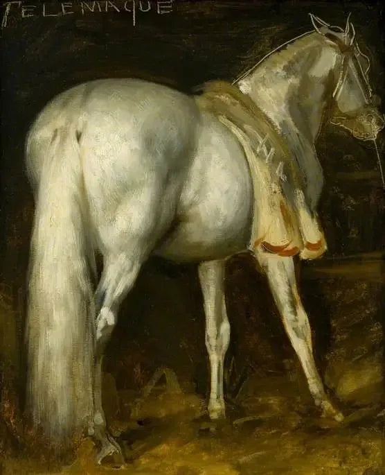 O cavalo cinza 