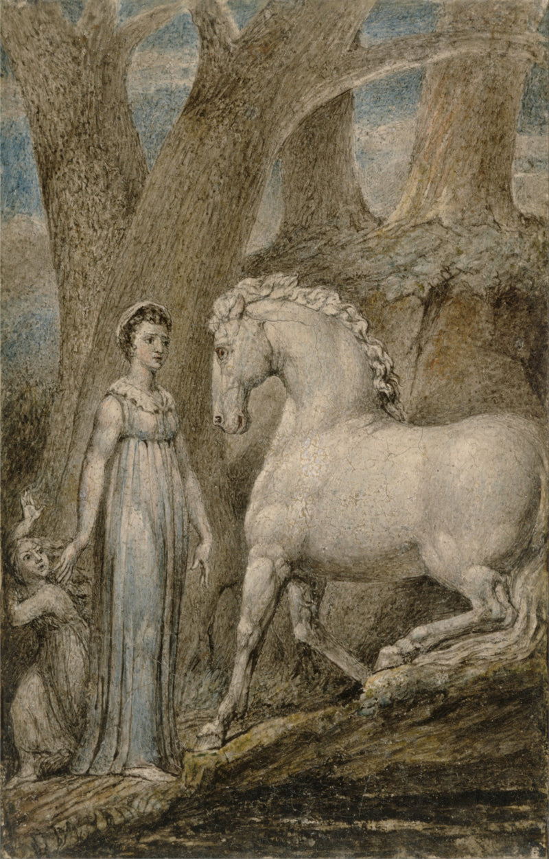 O cavalo - William Blake
