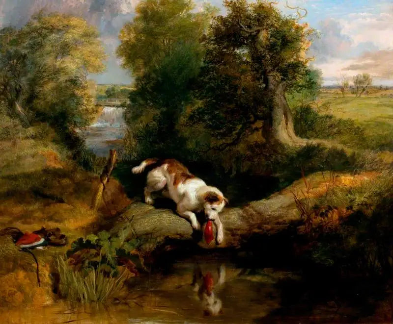 O cachorro e a sombra - Edwin Henry Landseer