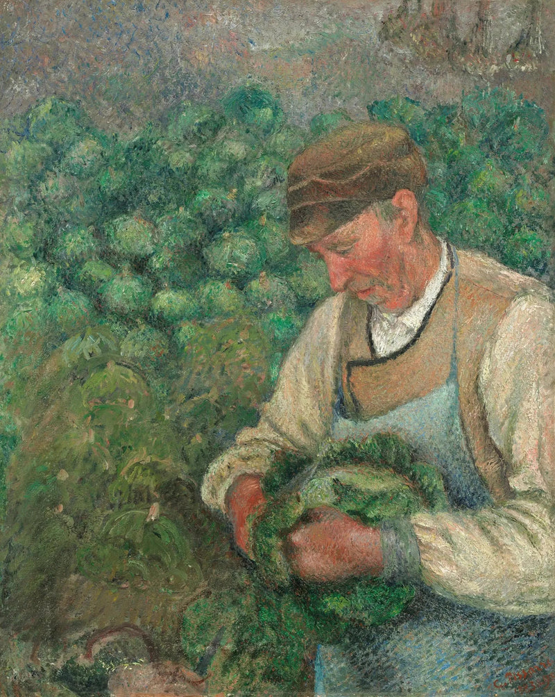O Jardineiro - Velho Camponês com Couve - Camille Pissarro