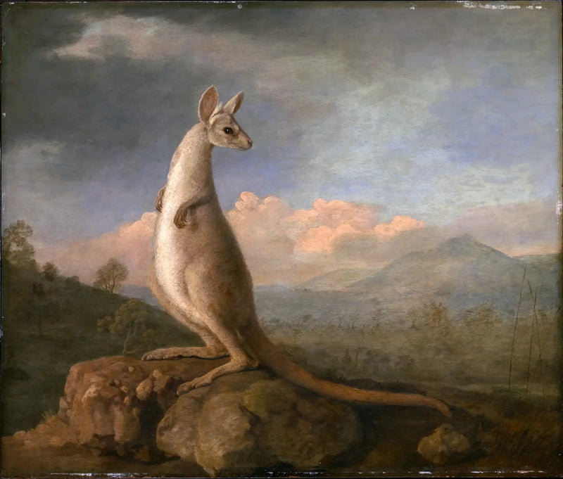 O Kongouro de New Holland - George Stubbs