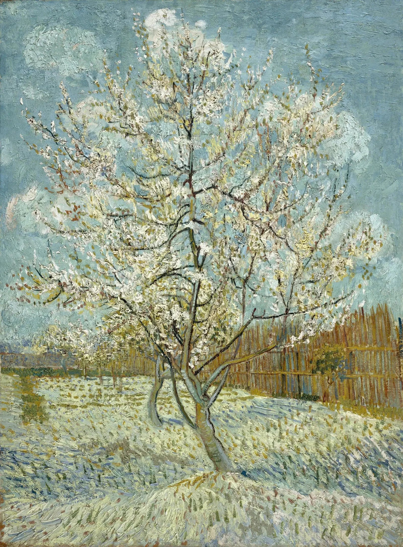 O pessegueiro rosa - Vincent van Gogh