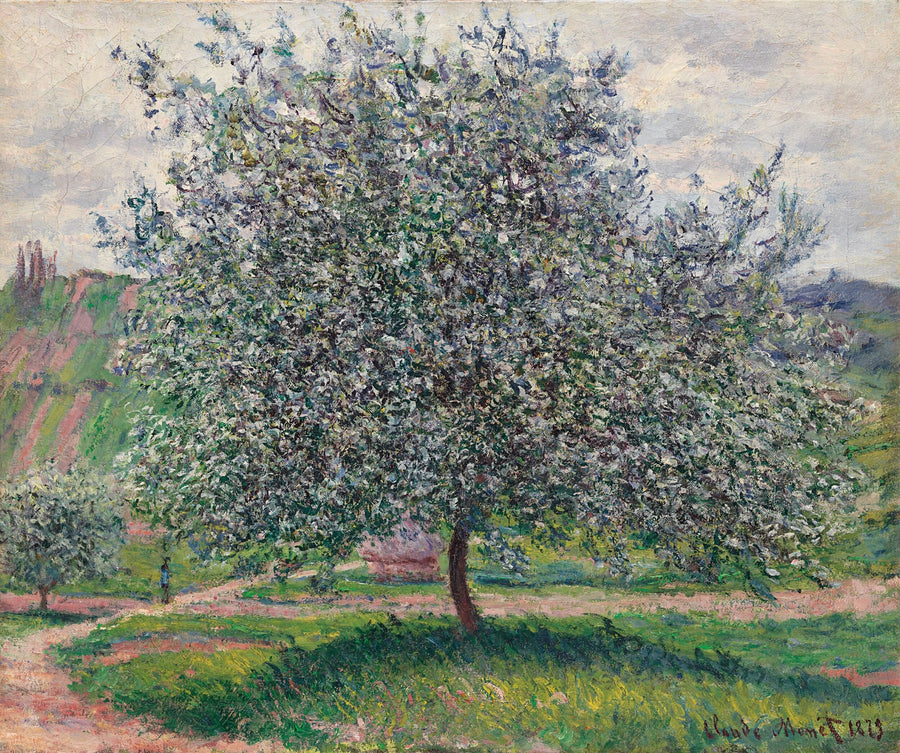 Título traduzido não disponível - Claude Monet