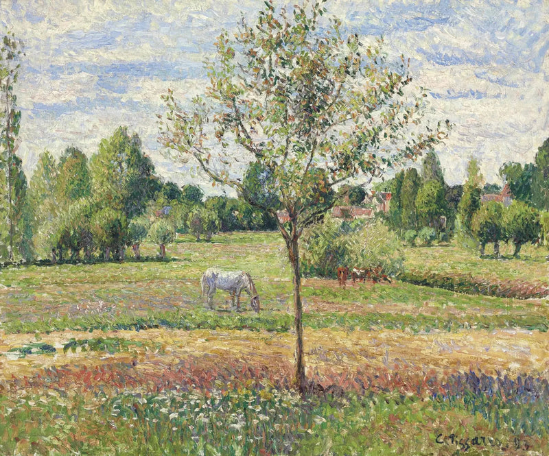 O Prado do Cavalo Cinza, Éragny - Camille Pissarro