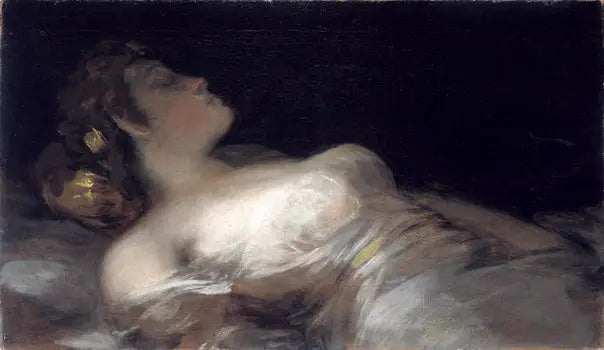 O sonho - Francisco de Goya