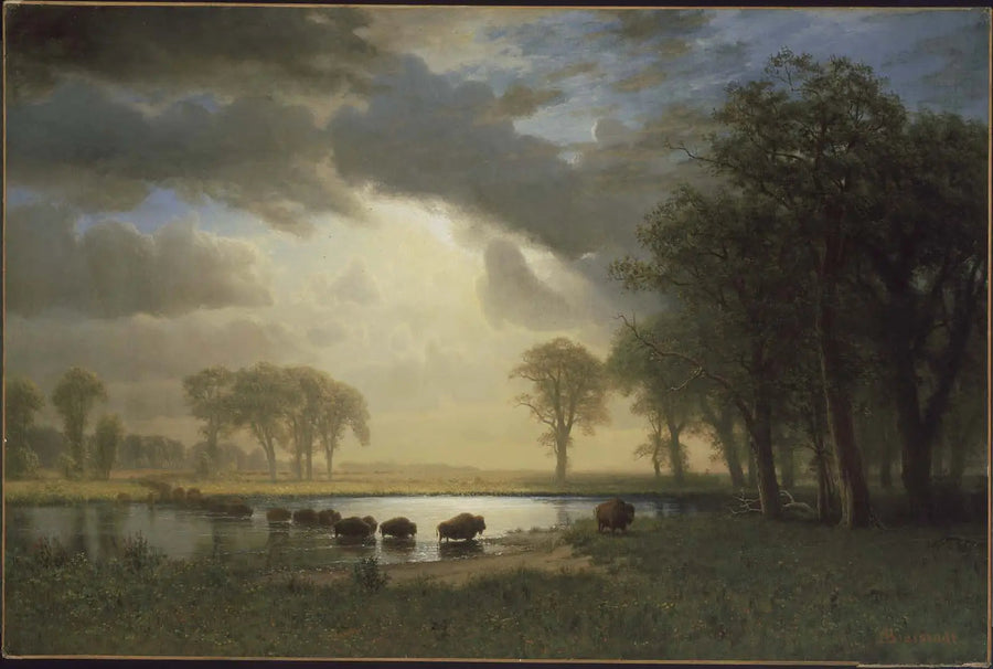 O caminho do bisão - Albert Bierstadt