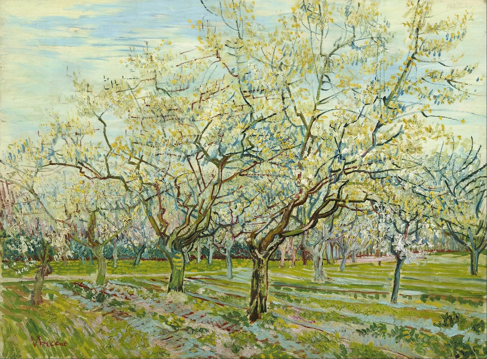 Reproduction du tableau « Le verger blanc - Vincent van Gogh » par Alpha Reproduction en peinture à l’huile