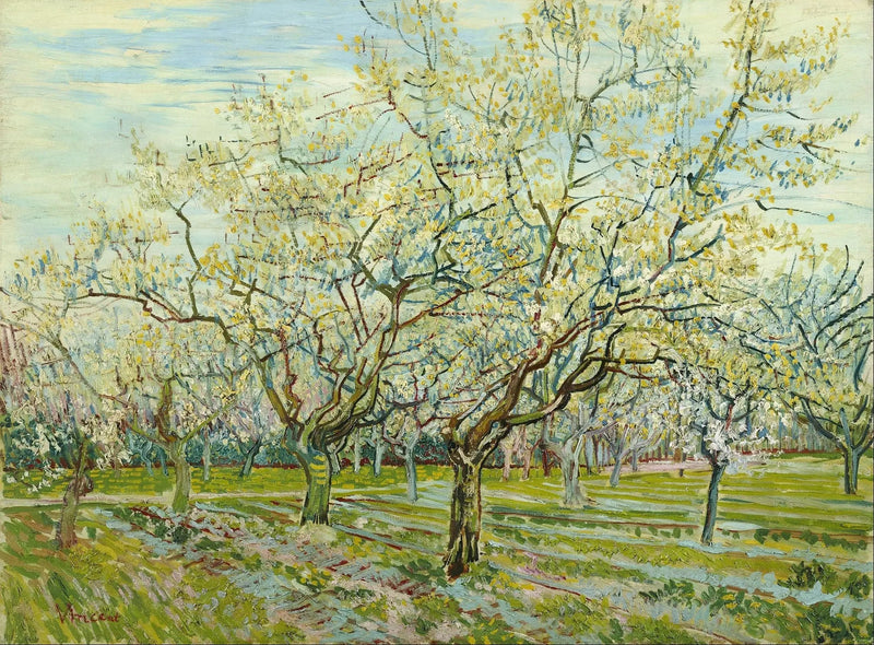 O pomar branco - Vincent van Gogh