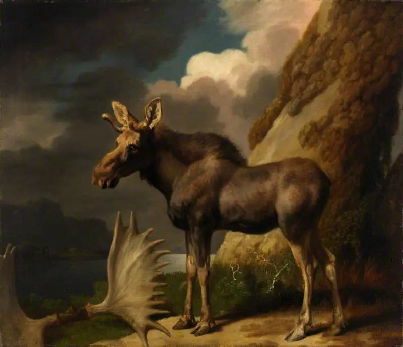 O alce - George Stubbs