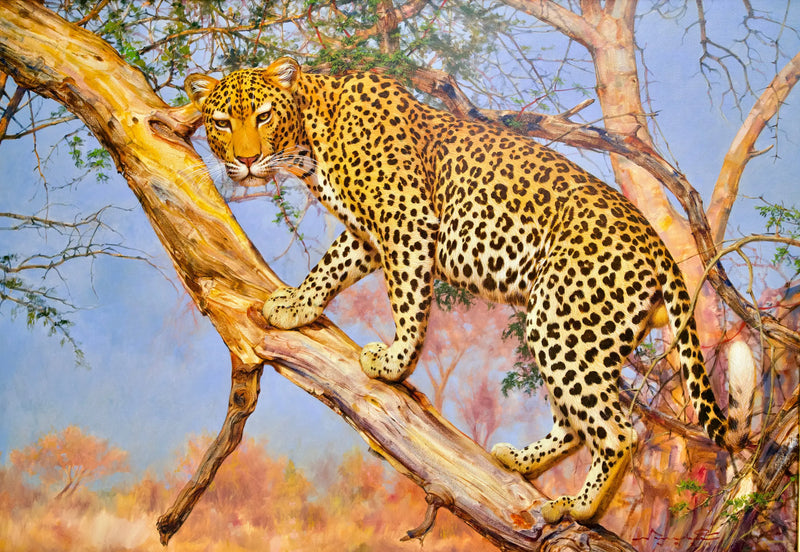 Leopardo em uma árvore | 150 x 100 cm