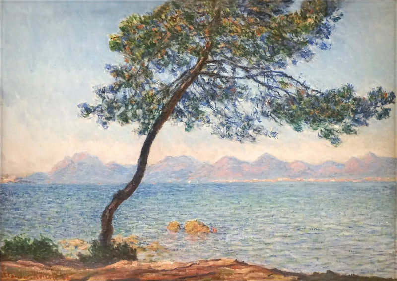 Os antibacterianos - Claude Monet