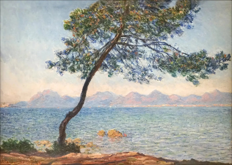 Os antibacterianos - Claude Monet