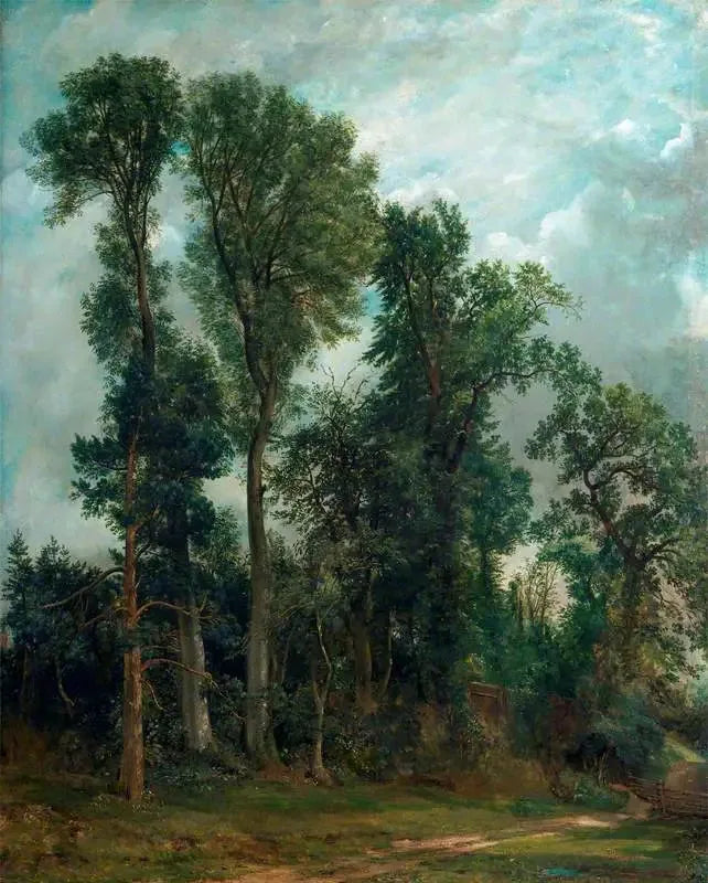 As árvores de Hampstead: o caminho para a igreja - John Constable