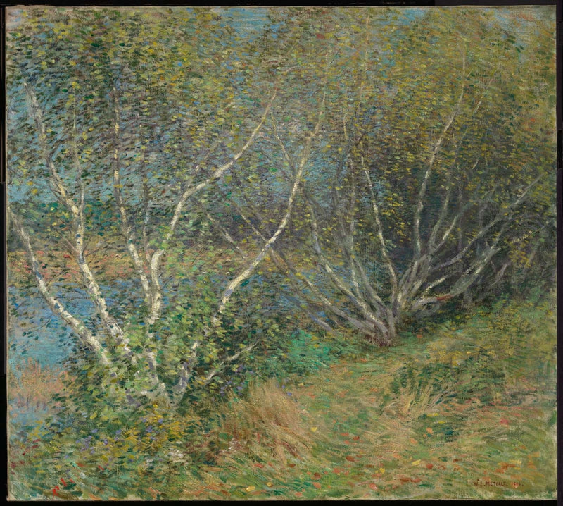 Os bétulas - Willard Metcalf