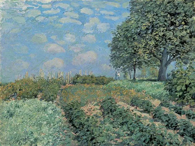 Os campos - Alfred Sisley