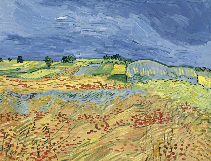 Os campos - Vincent van Gogh