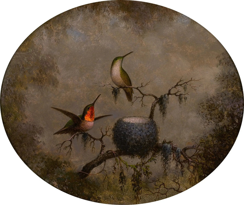 Beija-flores e seu ninho - Martin Johnson Heade