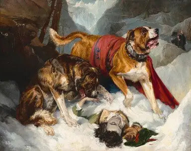 Os Dogues dos Alpes reanimam um viajante em perigo - Edwin Henry Landseer
