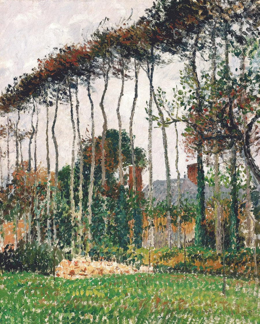 Os grandes faias em Varengeville - Camille Pissarro