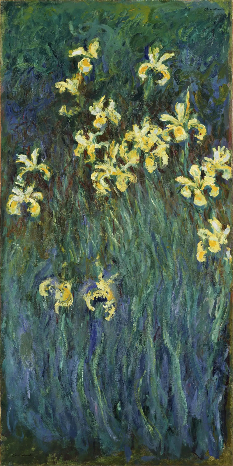 Íris amarelos - Claude Monet