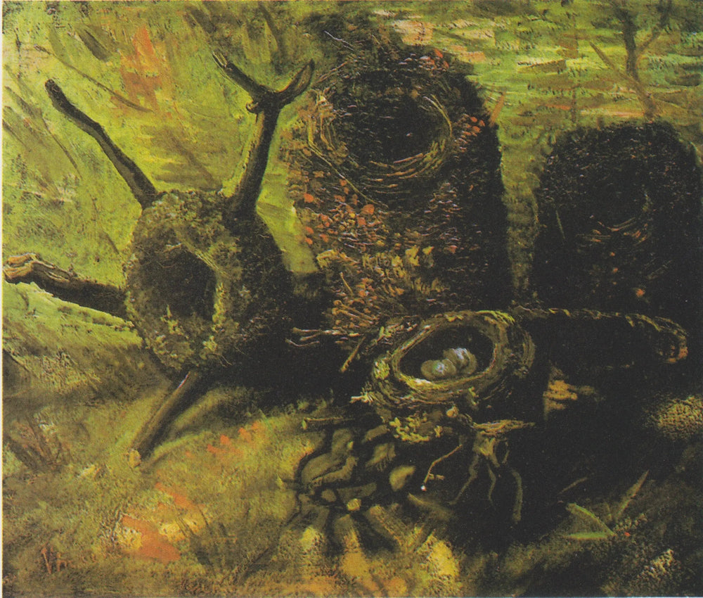 Les nids d’oiseaux - Vincent van Gogh - Alpha Reproduction