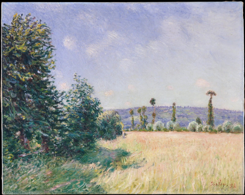 As Pradarias de Sahurs sob o sol da manhã - Alfred Sisley