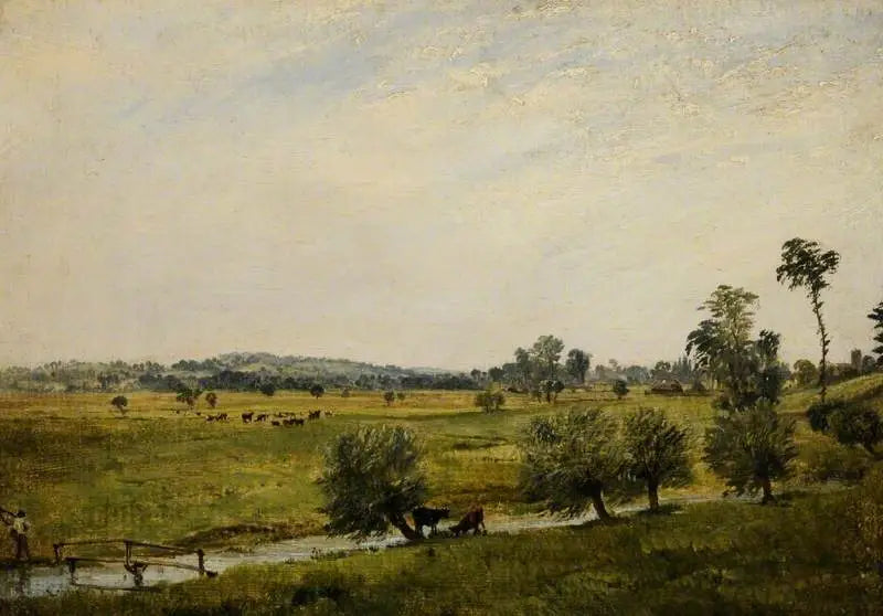 Os prados úmidos, Salisbury, Wiltshire - John Constable