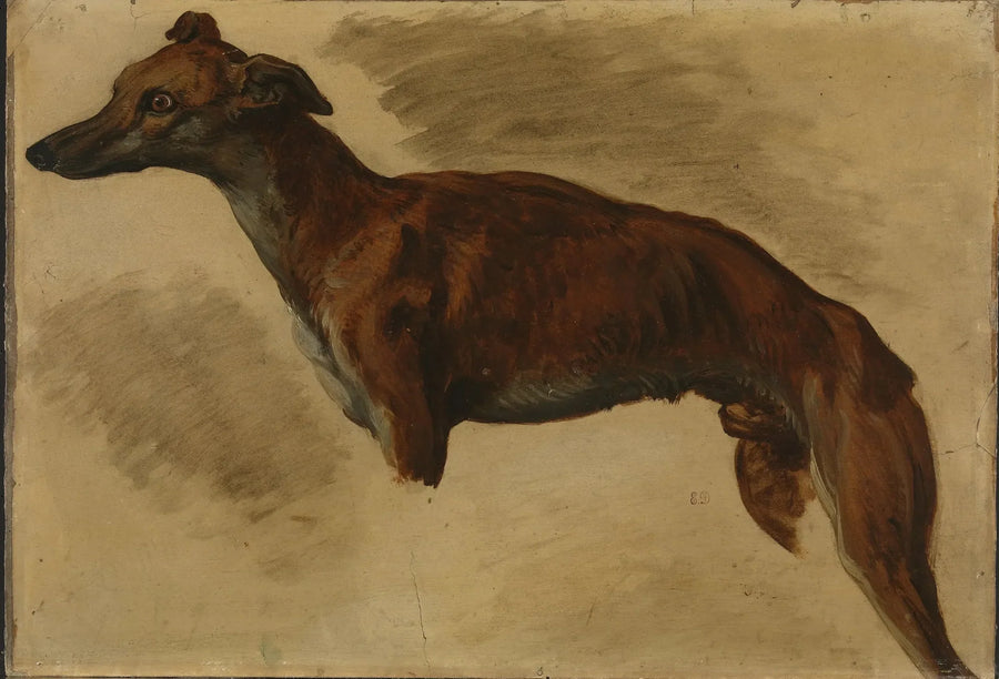 Lebre - Eugène Delacroix