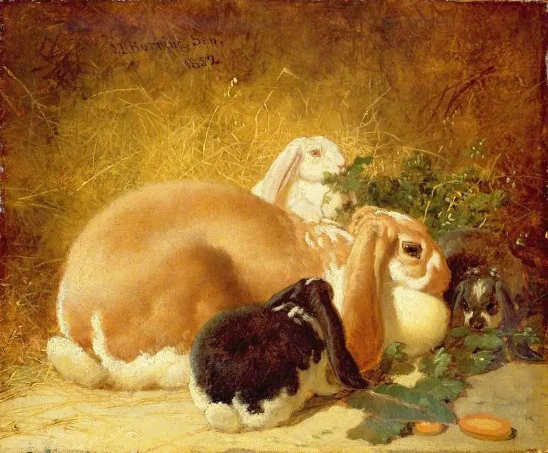 Lebres belgas - John Frederick Herring, Sr.