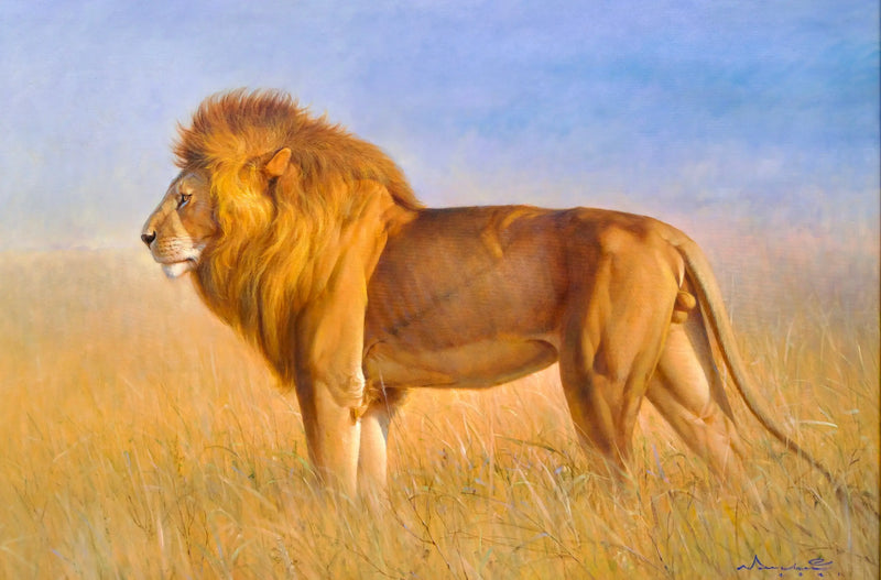 Leão na savana | 150 x 100 cm