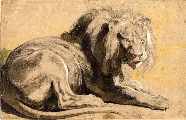 Leão - Peter Paul Rubens