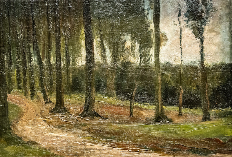 borda de uma floresta - Vincent van Gogh