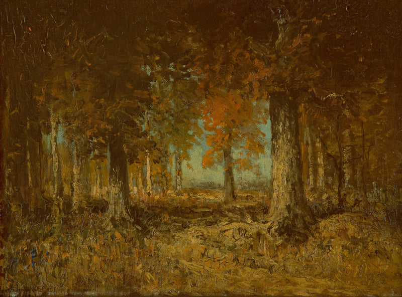 Borda da Floresta - Julian Onderdonk