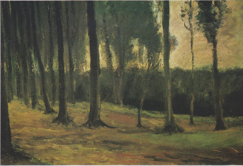 borda de uma floresta - Vincent van Gogh